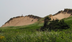 View from Top of Sand Dune