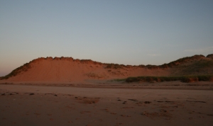 Evening Sand Dune